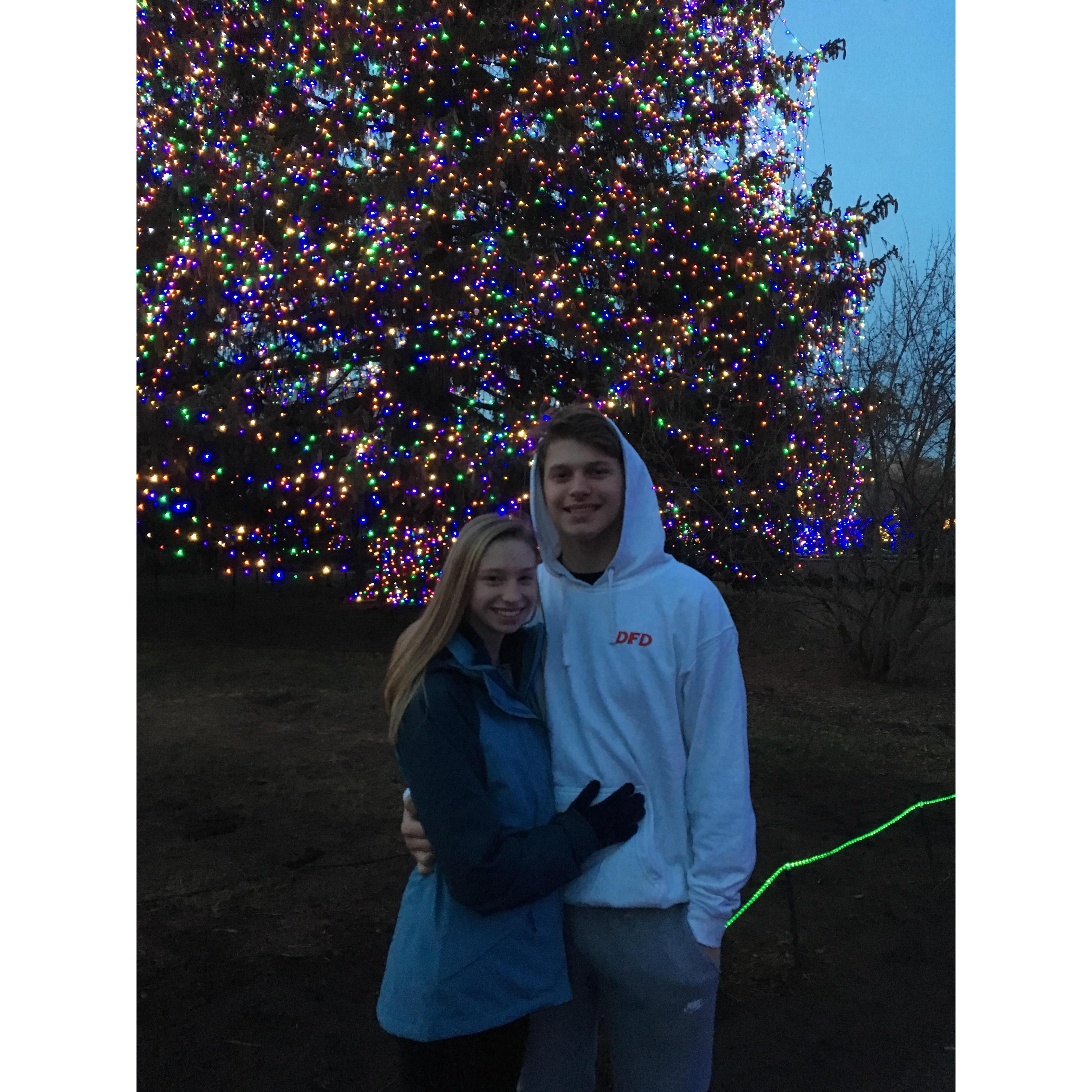 Zoo lights