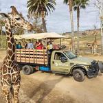 San Diego Zoo Safari Park