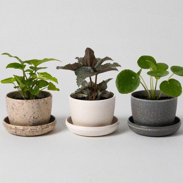 Harmony Mini Planters - Three Set, Set of...