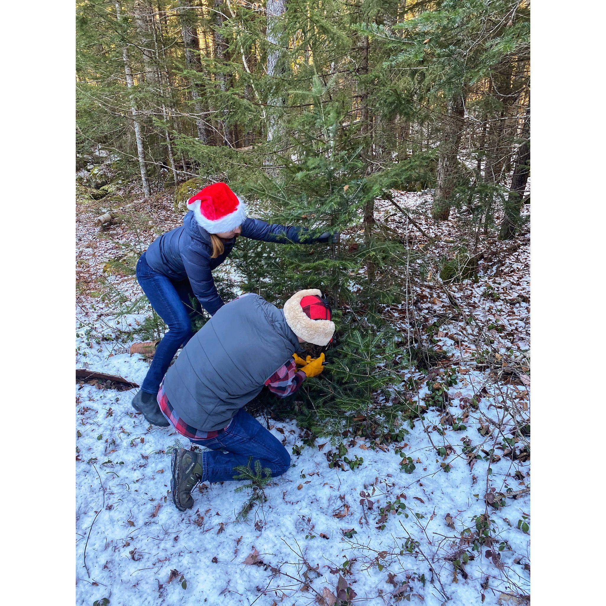 Cutting down our Charlie Brown tree