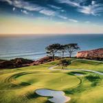 Torrey Pines State Natural Reserve