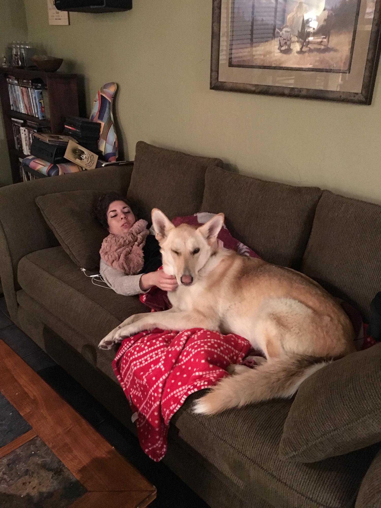 Jupiter cuddling with my big baby bump