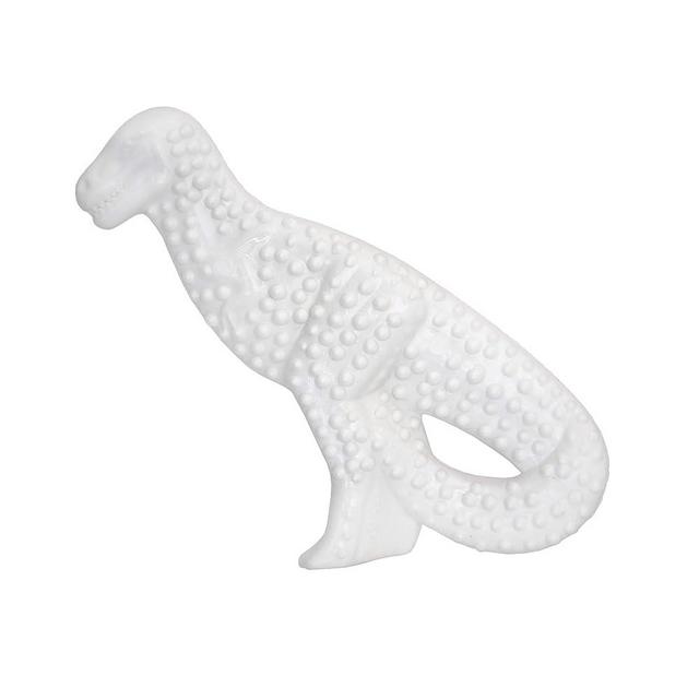 Nylabone Power Chew Dental Chew Toy Durable Dinosaur Dog Toy, Chicken Flavor, Small/Regular (1 Count)