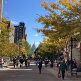 State Street