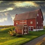 The Little Red Barn of Nunica