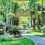 Fairchild Tropical Botanic Garden