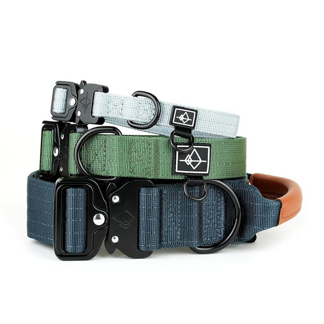 Made to ROAM Premium Dog Collar - Adjustable Heavy Duty Nylon Collar with Quick-Release Metal Buckle (Texas Flair, Classic Size 4)