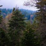 Blue Jay Canyon