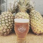 Bull Island Brewing Company