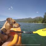 Flathead Lake State Park (Finely Point)