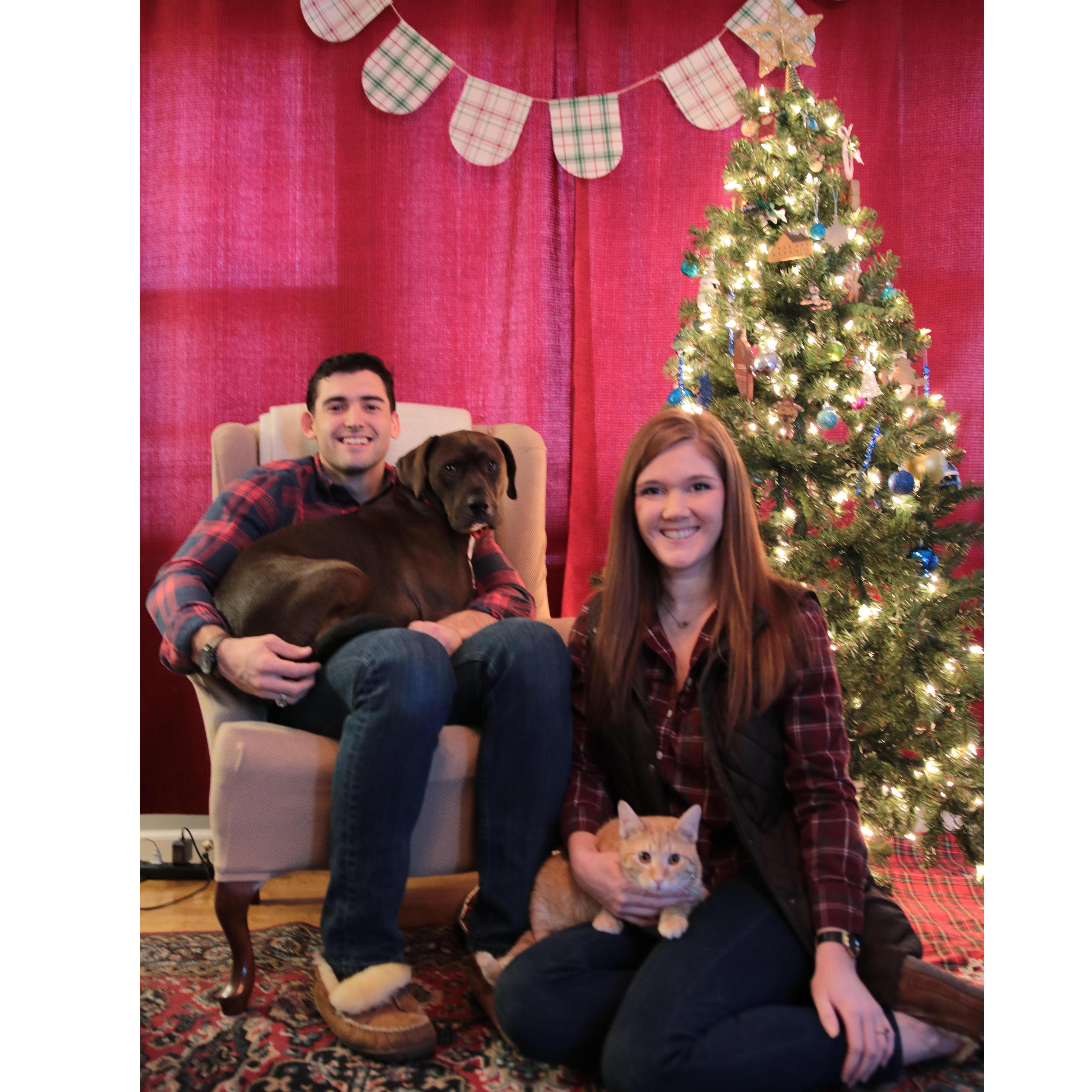 Our little family's first Christmas as homeowners 2018. 
( With Murdoch & Thomas O'Malley)