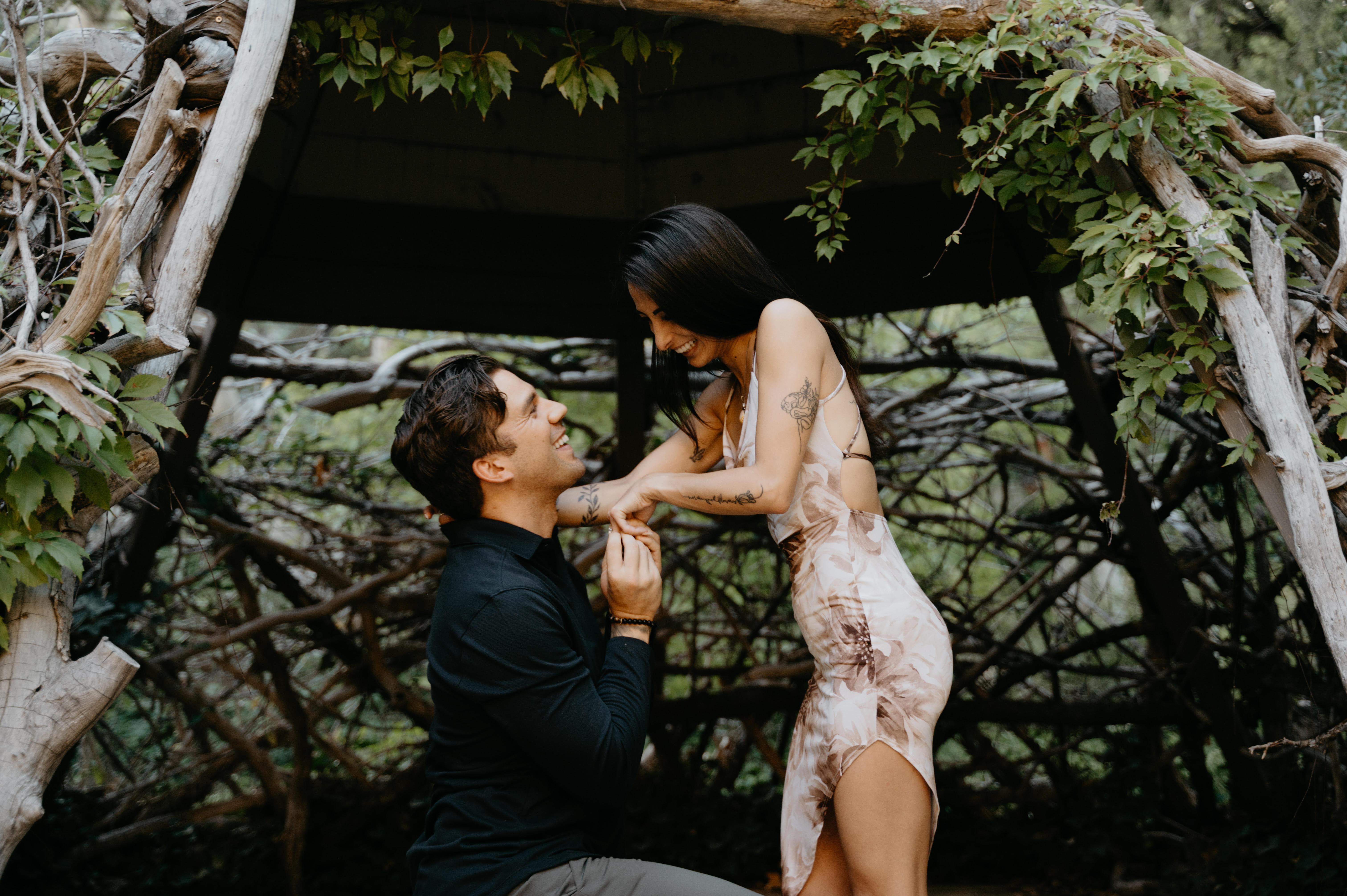 The Wedding Website of Dana Homaijani and Chris Ale