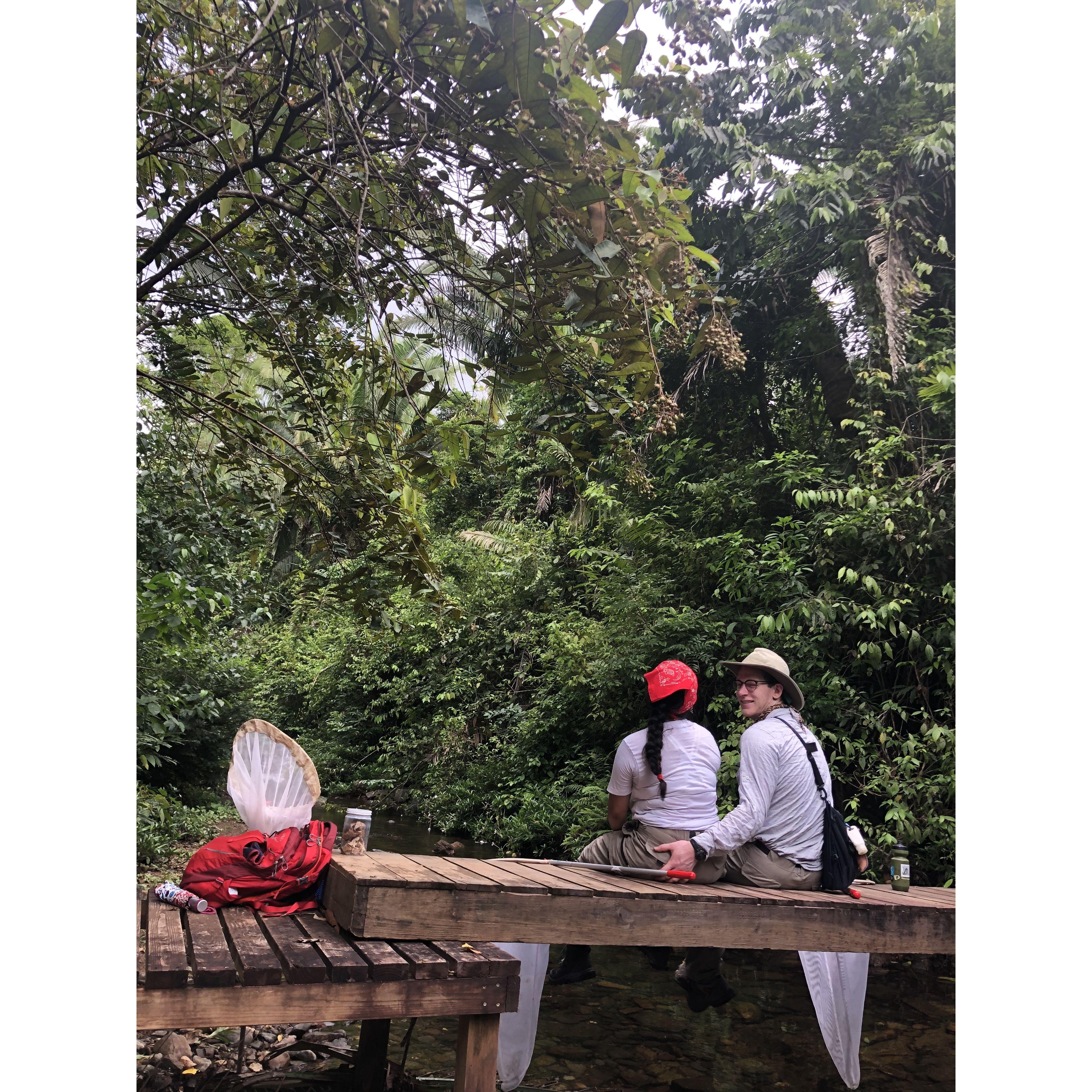 In Belize, on the 2019 Bohart Museum of Entomology BioBlitz!