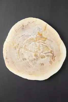 Petrified Wood Serving Board