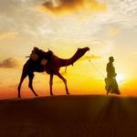 Arabian Adventures