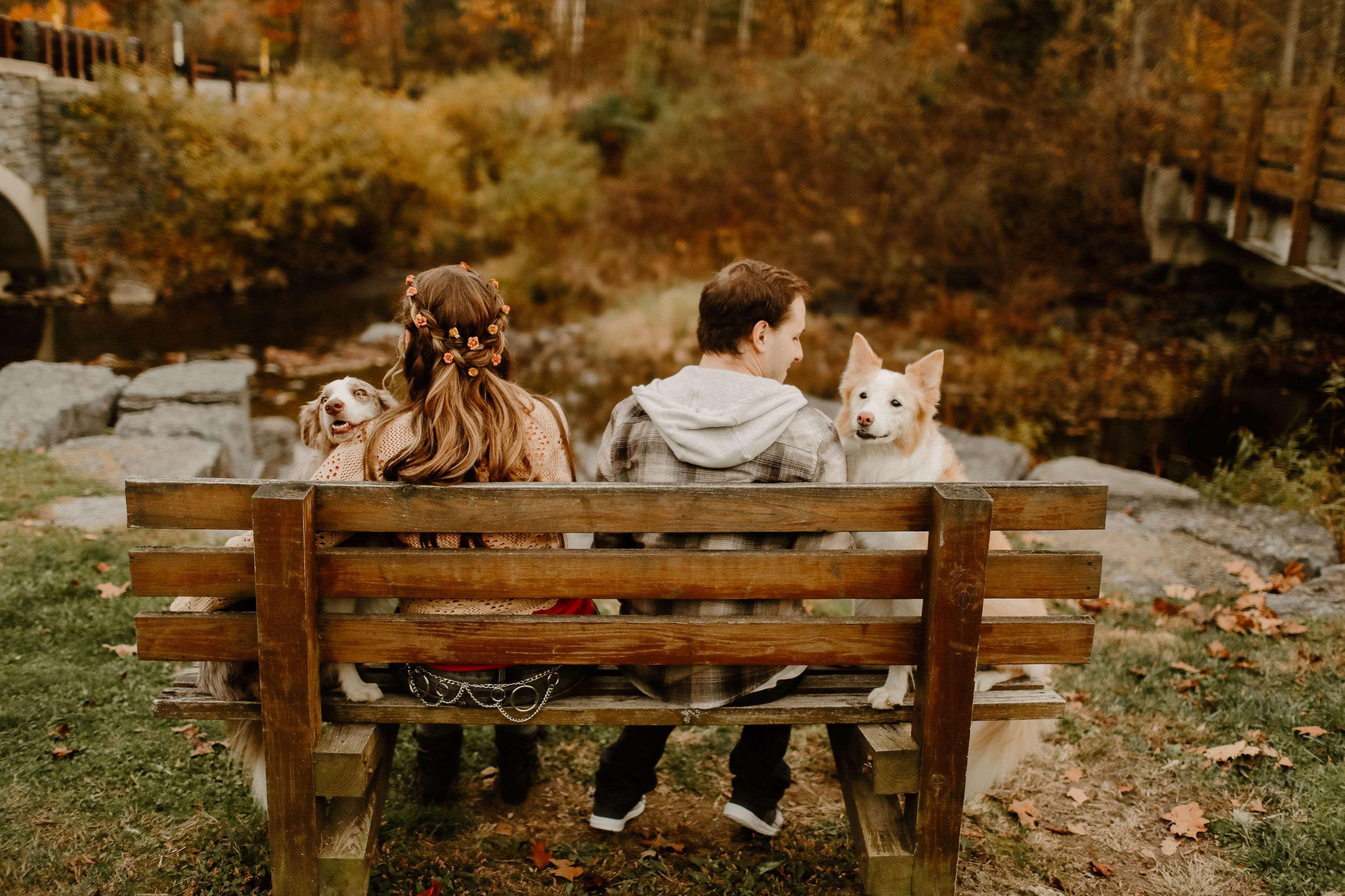 The Wedding Website of Alexis Gallagher and Steven Moyer