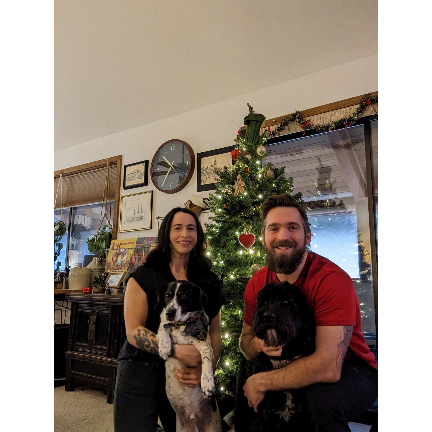 Christmas with our dogs, Jack & B