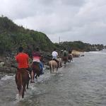 Colon Horseback Riding