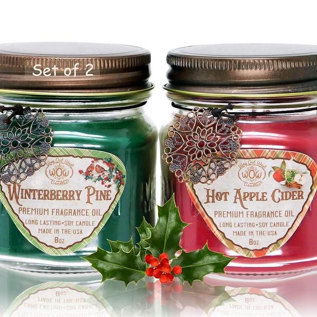 Way Out West Candles- Winter/Holiday Scented Candle Gift Pack of 2-8 Ounce Soy Wax Jar Candles- Fragrant, Long Lasting Hot Apple Cider and Winterberry Pine- Handmade in USA
