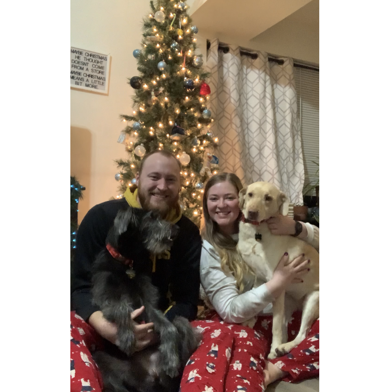 Our best attempt at a Christmas picture with the pups.