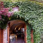 Freeman Vineyard & Winery