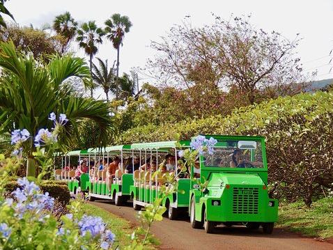 Tropical Plantation Tour🍍