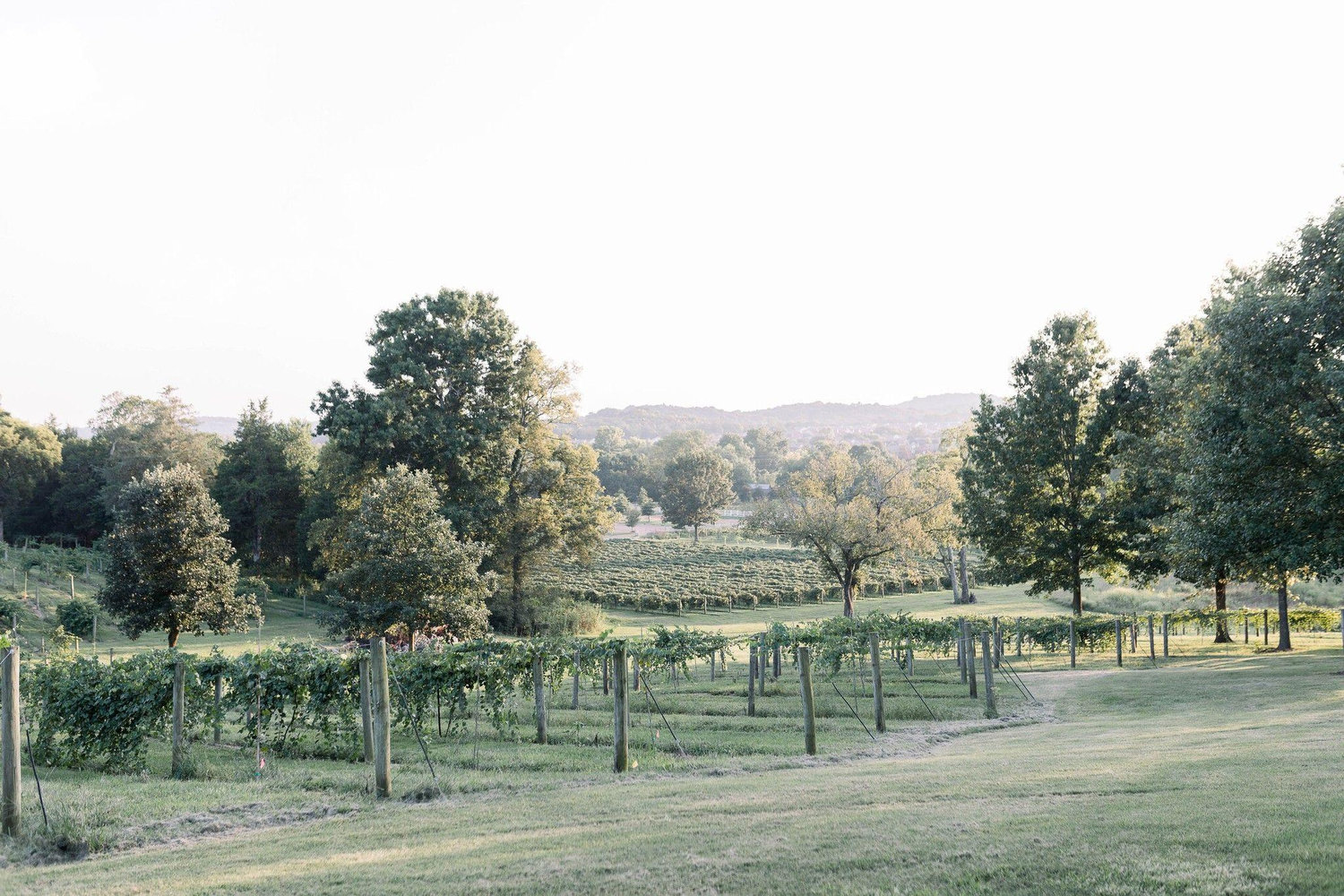The Wedding Website of Chiara Junkroski and Steven Graham