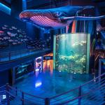 Bass Pro Shops
