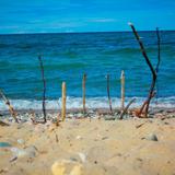 Lake Superior