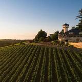 Willamette Valley Vineyards