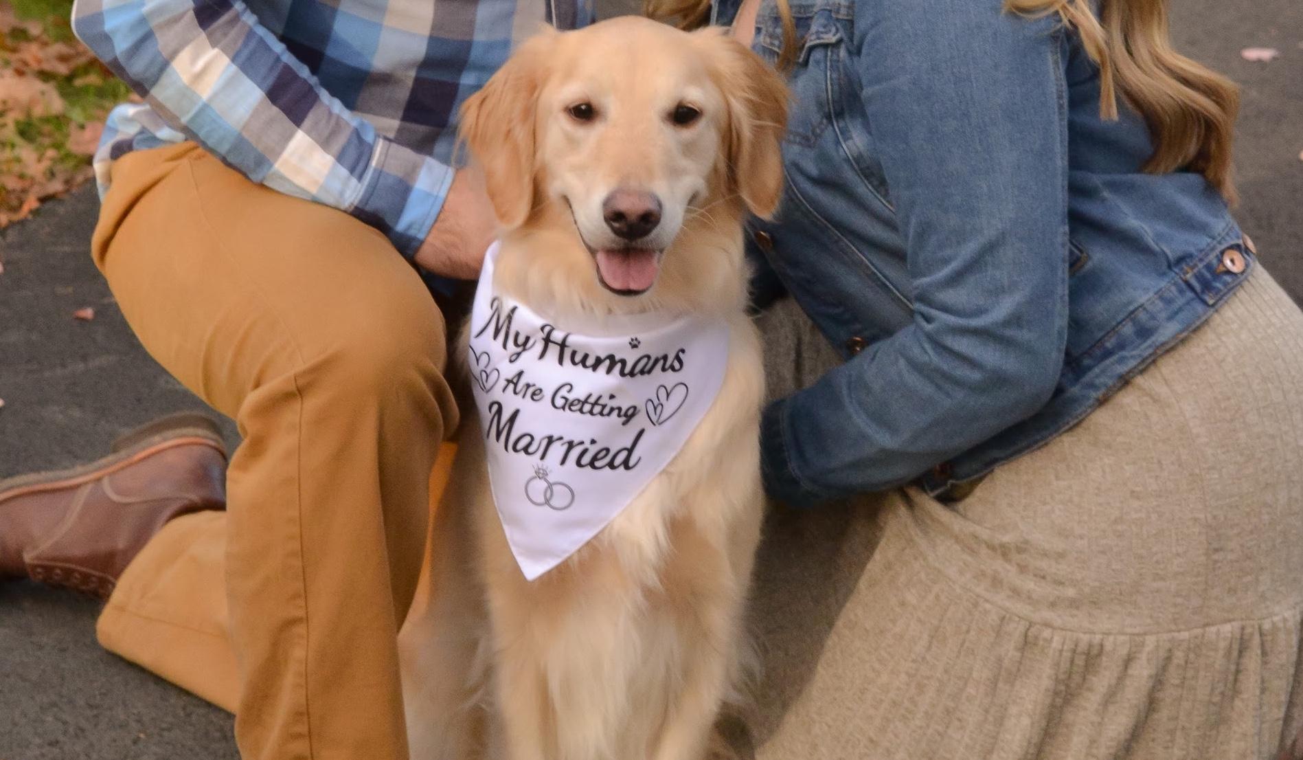 Hero Slideshow Image 3