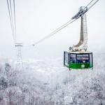 Ober Gatlinburg