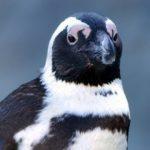 Mystic Aquarium