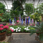 Planting Fields Arboretum