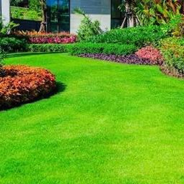 Lawn Fund