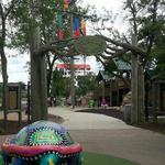 Turtle Island Playground