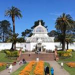 Golden Gate Park