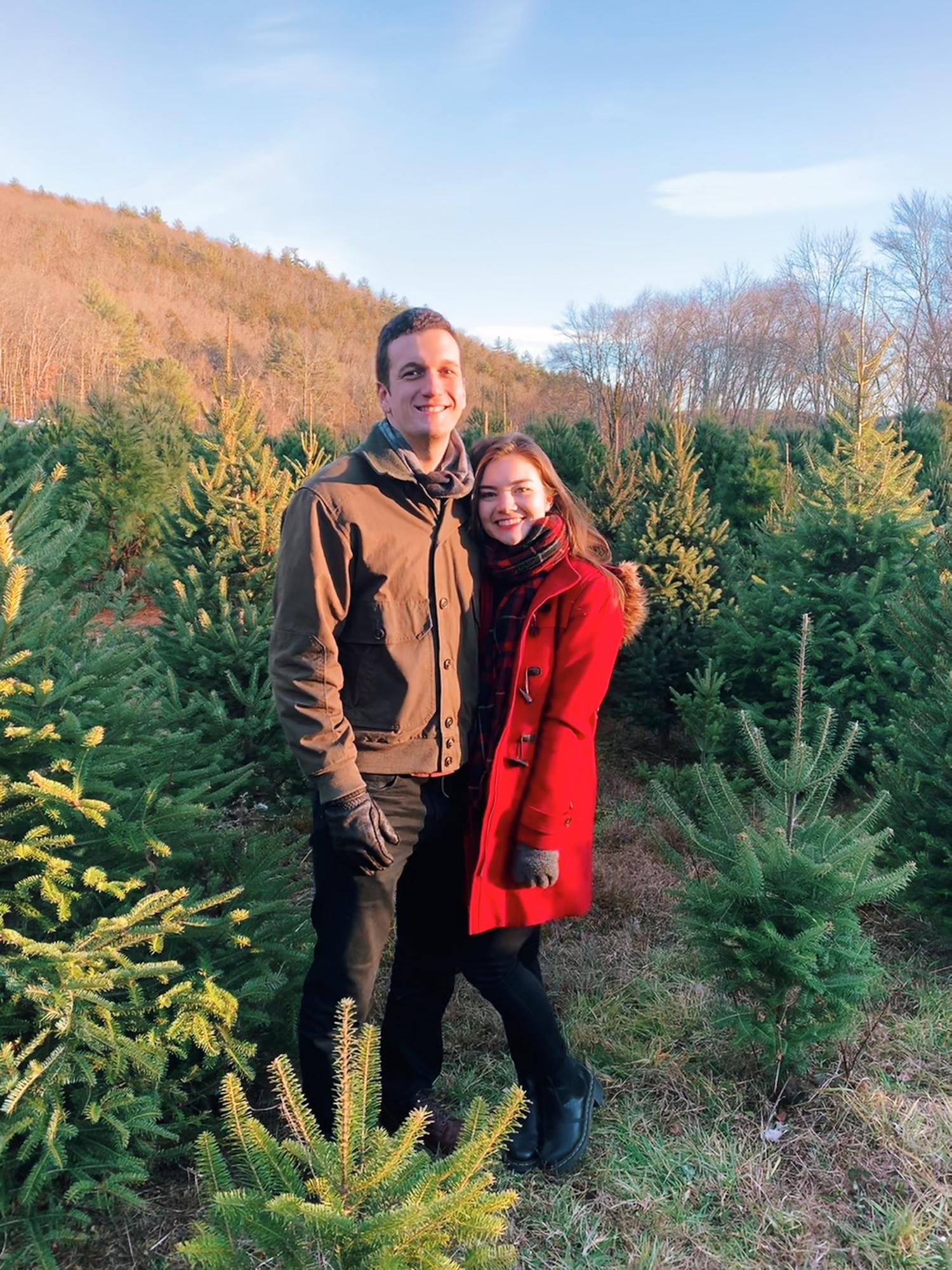 Maple Hollow Tree Farm, CT, 2019