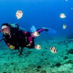 Scuba Diving Tour Las Caletas