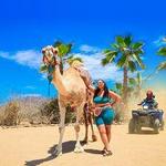 ATV tour, camelback, tequila tasting & Mexican buffet lunCh