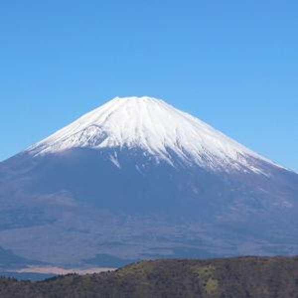 Japan Honeymoon Fund