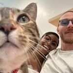 KitTea Cat Lounge