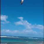 Shacks Beach