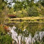 Whitehouse Nature Center
