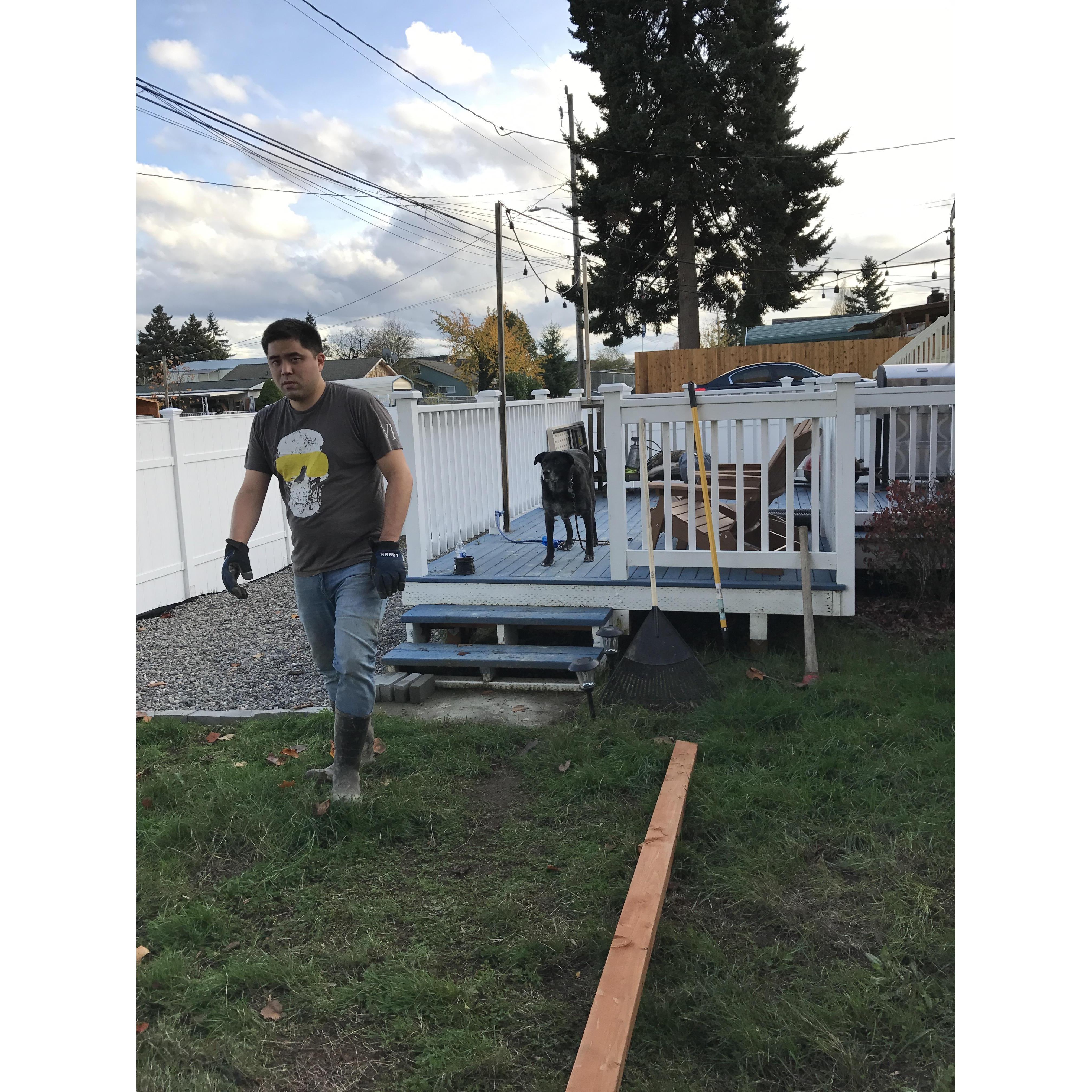 Home improvement projects with Stewie