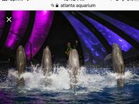 Atlanta Aquarium