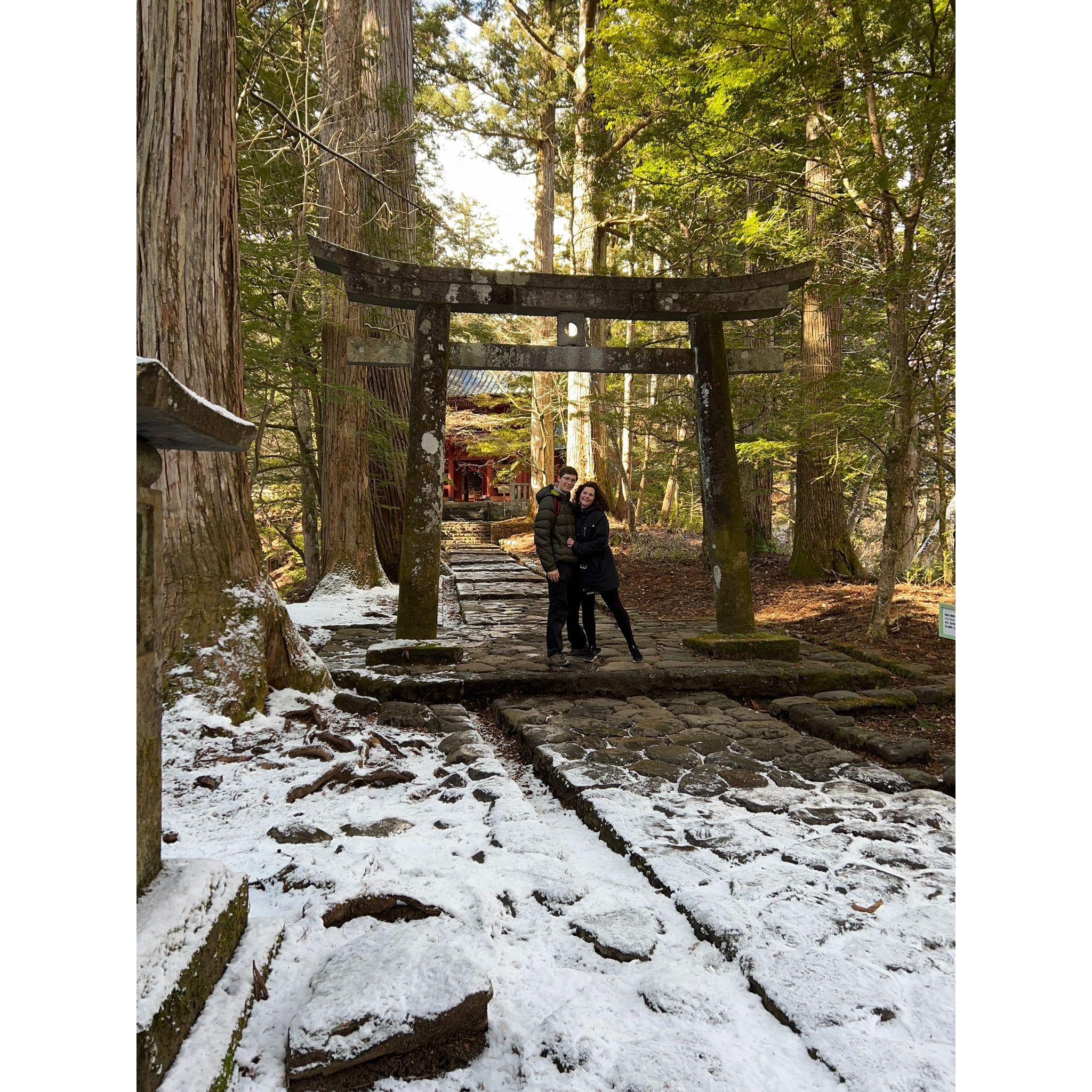 Endlessly stepping through the Torii gates with you. Nikko, Japan