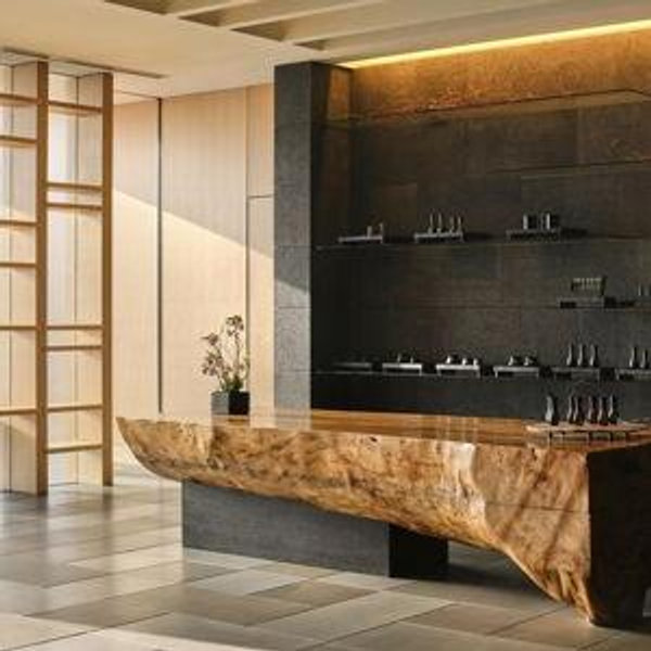 Spa Day in Tokyo
