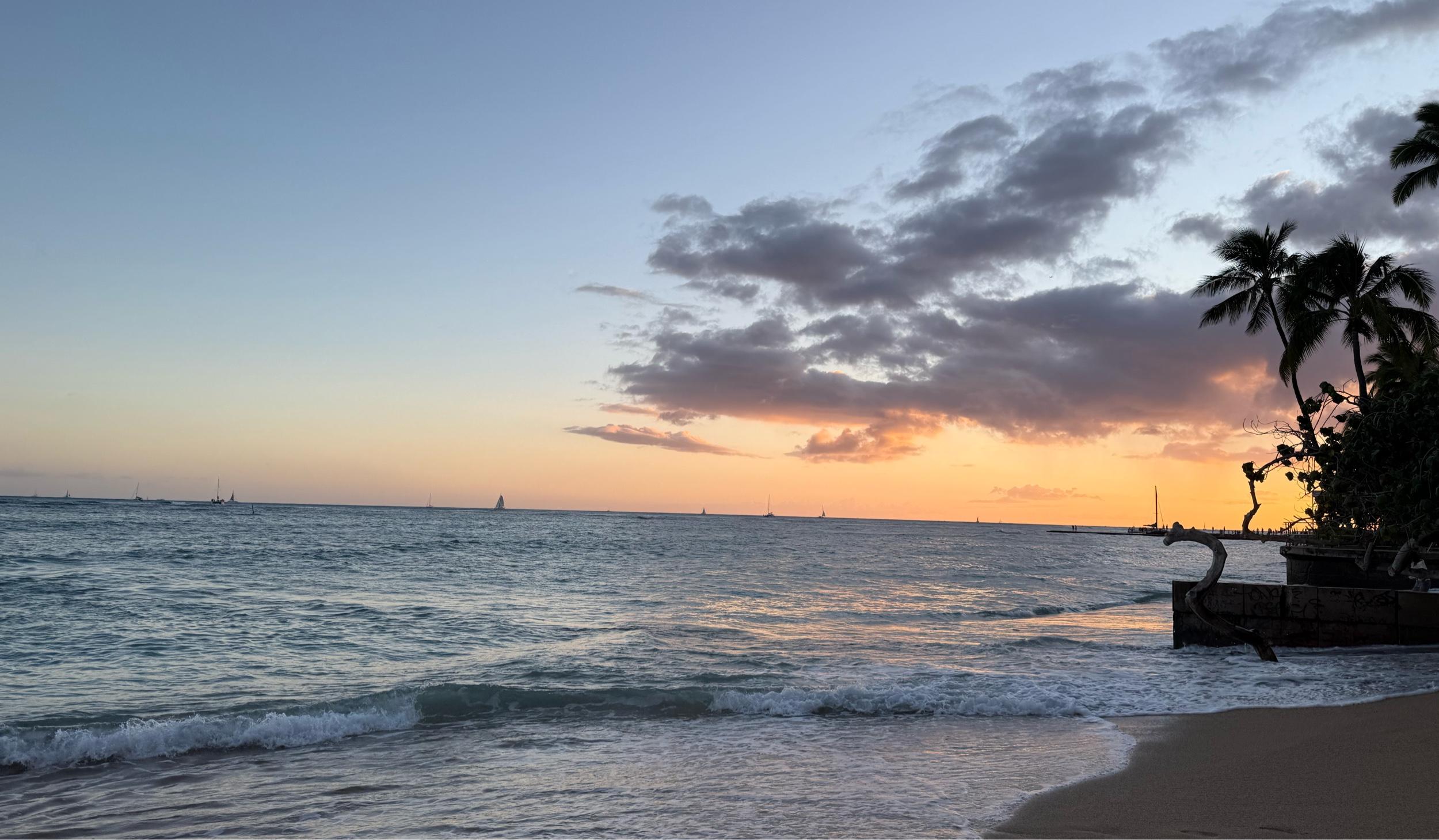 The Wedding Website of Frieda Amaya and Saul Solis