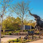 Saint Louis Zoo